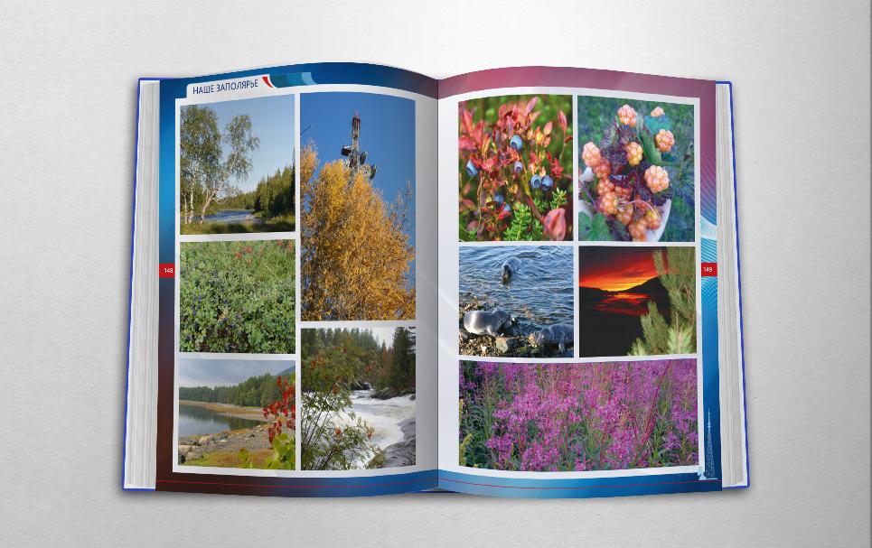 книга о старейшем и технически сложном предприятии Кольского Заполярья