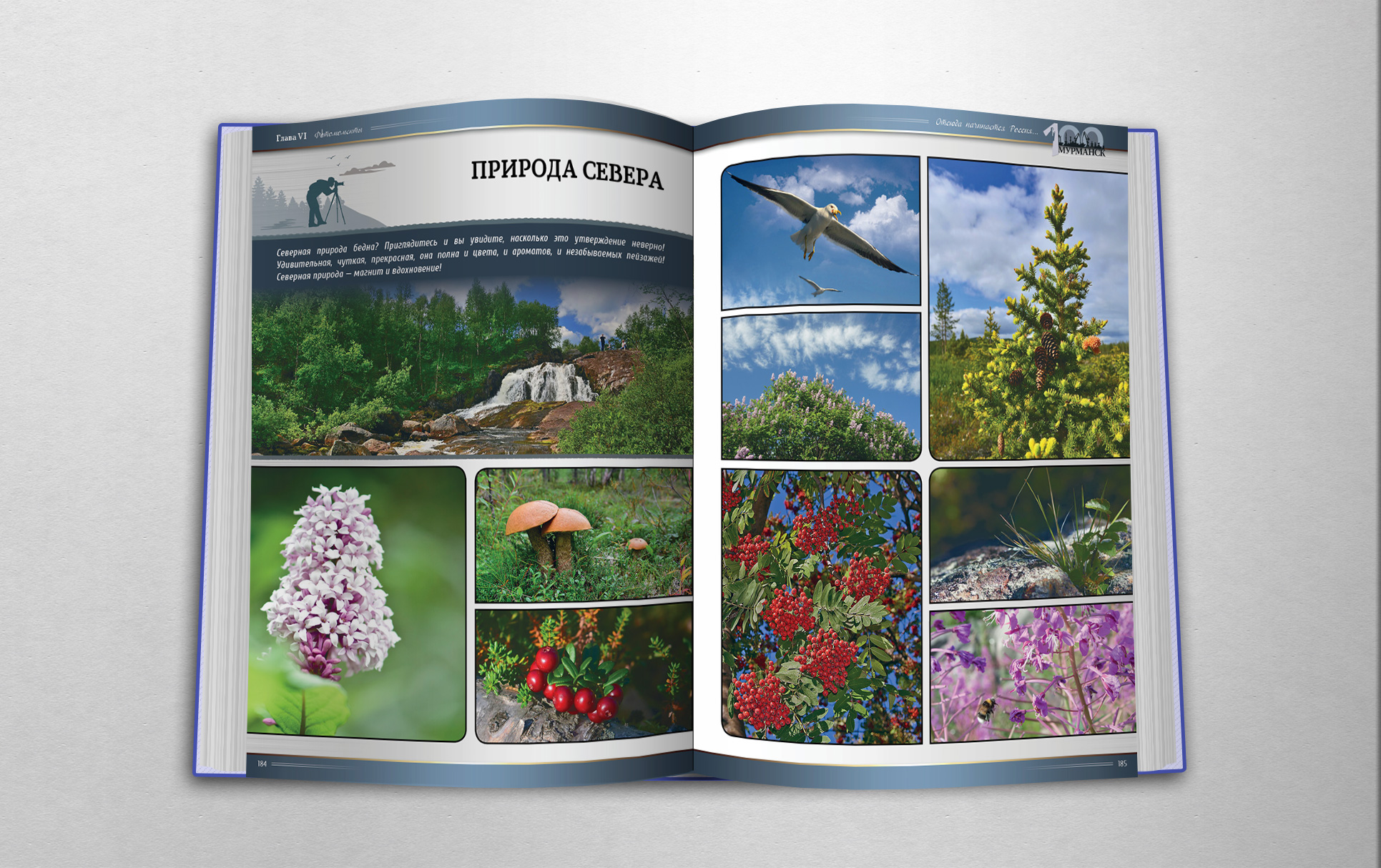 Фотографии Мурманска